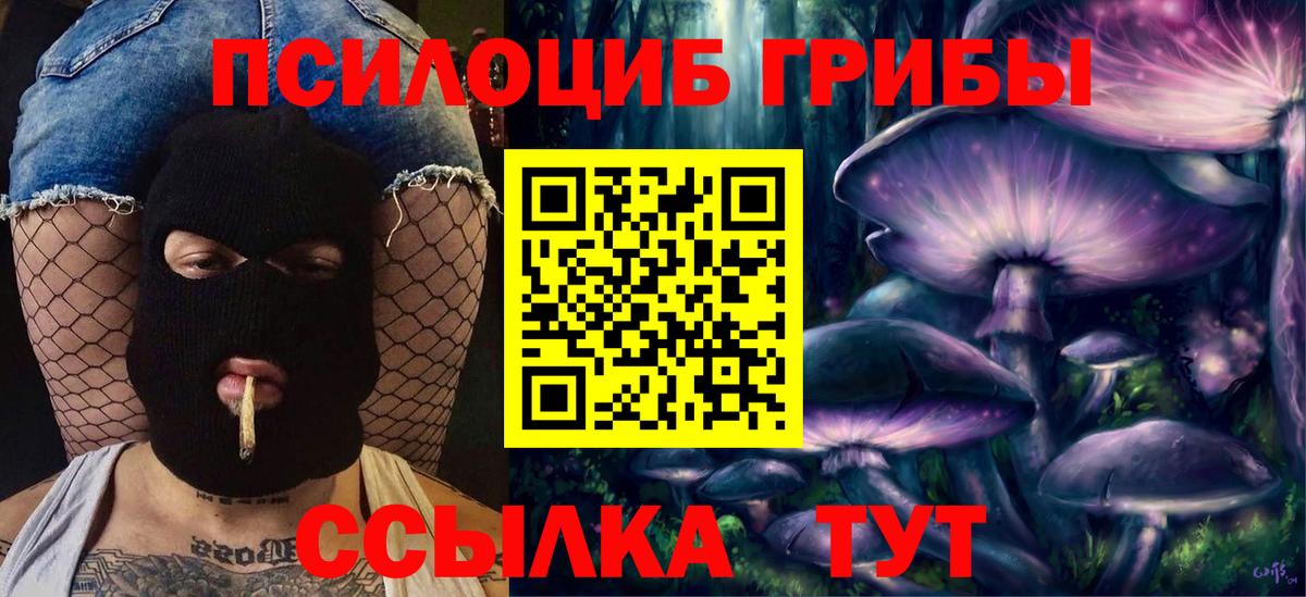 Элиста  Галлюциногенные грибы мицелий  Вход с VPN 